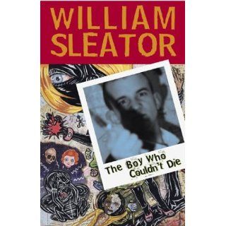 The Boy Who Couldn't Die William Sleator 9780810948242 Books