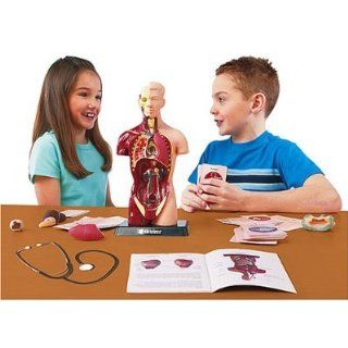 Edu Science Human Torso Learning Game with Bonus Stethoscope Toys & Games