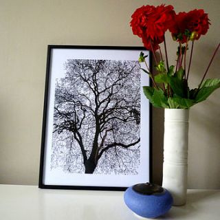 tree silhouette print by nancy edwards