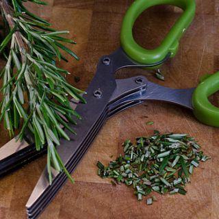 herb scissors and planting set by hortus online