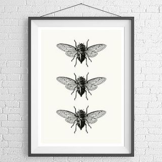 insect trio print by brighton artists