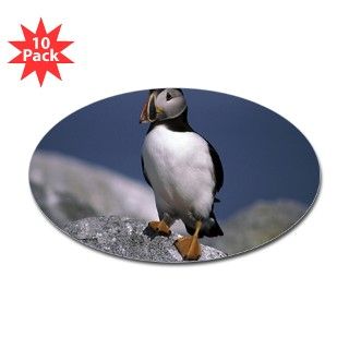 Atlantic Puffin on a rock Decal by ADMIN_CP_GETTY35497297
