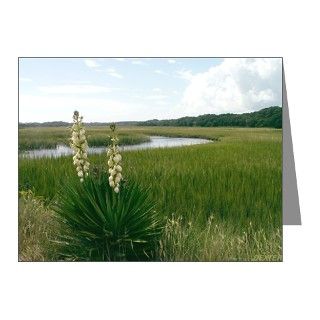 Edisto Note Cards Marsh View (Pk of 10) by AikenStore