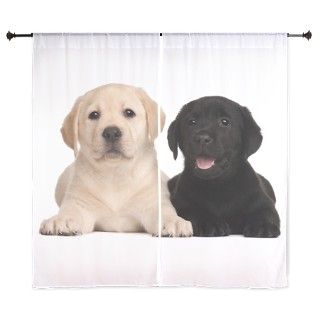 Labrador puppies 60 Curtains by theonlinezoo