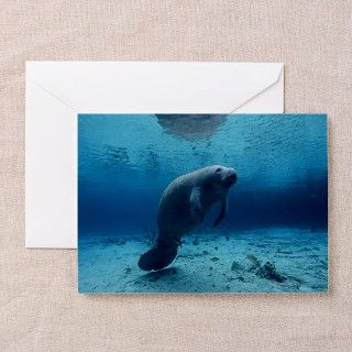 West Indian Manatee, Tri Greeting Cards (Pk of 10) by ADMIN_CP_GETTY35497297