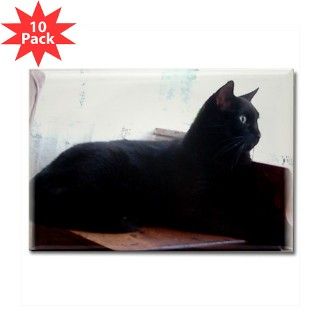 Black Cat In Window Rectangle Magnet (10 pack) by rightwingwomen