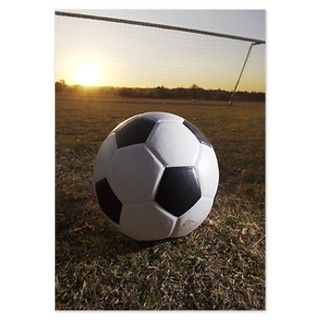 Soccer ball in front of goal po Invitations by ADMIN_CP_GETTY35497297