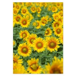 Sunflower field Invitations by ADMIN_CP_GETTY35497297