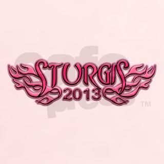 Sturgis 2013 Airbrush Pink T Shirt by sturgis2013