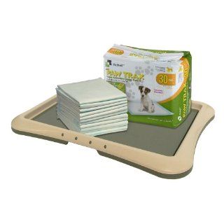 Richell Paw Trax Super Absorbent Training Pads and Starter Kit, Large, 30 Pads  Pet Training Pads 