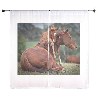 Horse and colt hug 60 Curtains by petdrawings