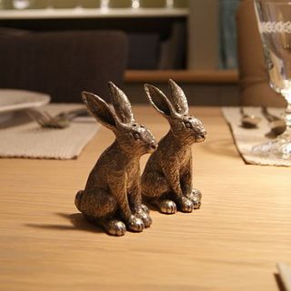 hare salt and pepper shakers by distinctly living