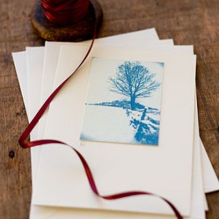 winter solitude greetings card by hunt and gather design