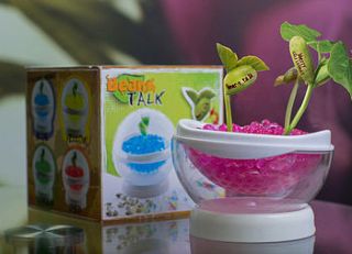 grow a message beanstalk pod set by beecycle