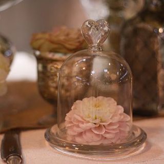 mini glass dome bell jar by the wedding of my dreams