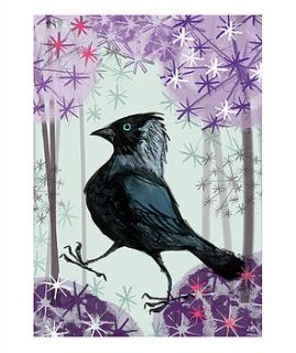 print jackdaw in the garden by debbie bellaby illustration