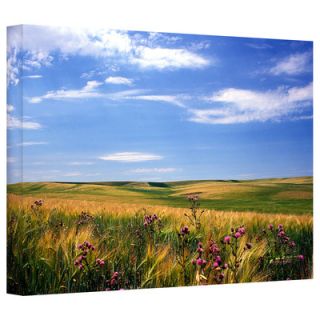 Art Wall Field of Dreams by Kathy Yates Photographic Print on Canvas