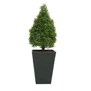 everlasting artificial boxwood topiary cone by artificial landscapes