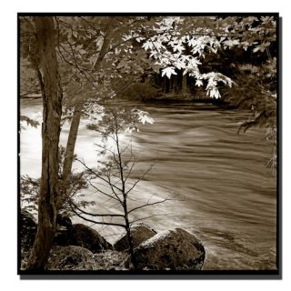 Trademark Fine Art Yosemite II by Preston Photographic Print on