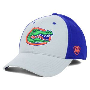 Florida Gators Top of the World NCAA Jersey Memory Fit Cap