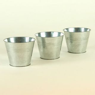 3 zinc pots by plant theatre