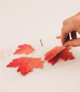 maple leaf post it notes by nonesuchthings
