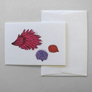 hedgehog and hoglets greeting card by kethi copeland