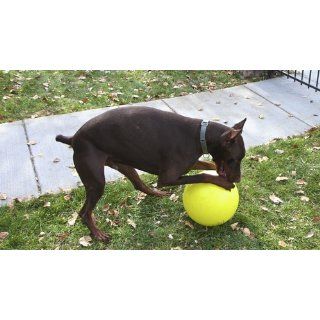 Varsity Ball    The 110% Guaranteed Indestructible Herding Ball Designed For Human Free Canine Exercise (Basketball Design)  Pet Toy Balls 