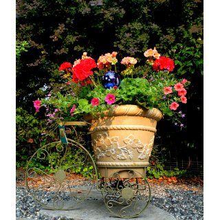 Panacea Products Whimsical Tricycle Plant Stand, Antique Willow Finish  Garden Decor  Patio, Lawn & Garden