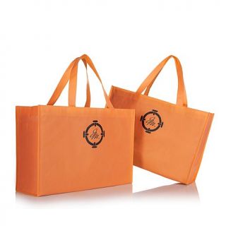 Joy Mangano Tote Bag Duo
