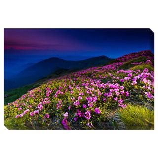 Floral Mountain Landscape Oversized Gallery Wrapped Canvas Canvas