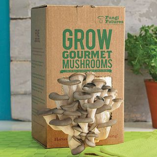 grow your own mushrooms kit by fungi futures