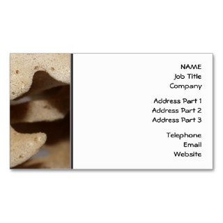 Picture of Sea Sponge. Business Card Templates