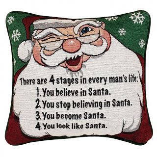 Christmas Throw Pillow, 4 Stages of Life   12 x 12in