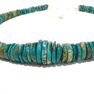 Jay King Spider Mountain Turquoise 18 1/2" Necklace