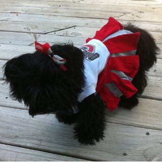 Pets First NCAA University of Ohio Buckeyes Cheerleader Dog Outfit, Small  Pet Dresses 