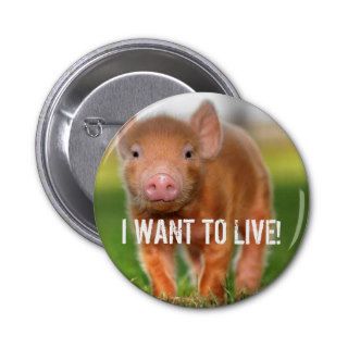I WANT TO LIVE PINS