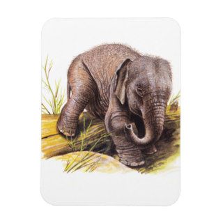 Vintage Baby Elephant Rectangular Magnet