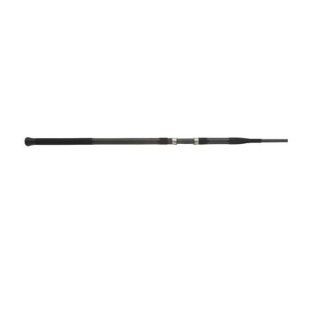 Lamiglas Alberto Knie Extreme Series  Surf Fishing Rods  Sports & Outdoors