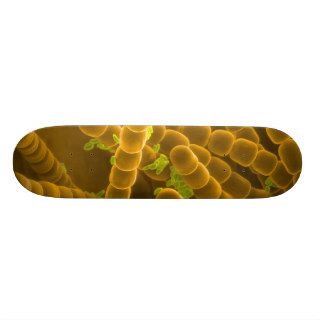 SEM image of Tradescantia Pollen and Stamens Skate Deck