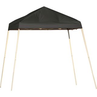ShelterLogic Pop Up Canopy   8ft. x 8ft., Open Top, Slant Leg, Black, Model