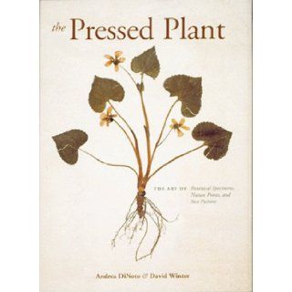 The Pressed Plant Andrea DiNoto, David Winter 9781556709364 Books