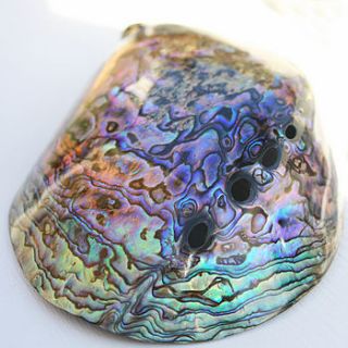 polished paua shell by buy the sea