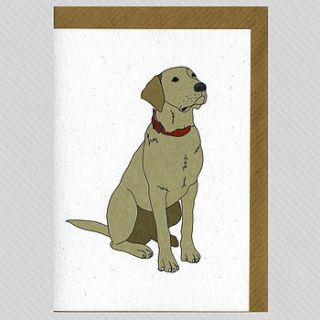illustrated yellow labrador blank card by illustrated cards