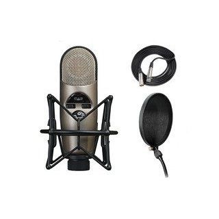 CAD M179 Variable pattern Condenser Microphone Set Musical Instruments