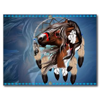 Paint Horse Dreamcatcher Postcard