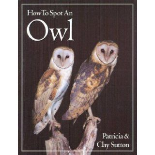 How to Spot an Owl Patricia Taylor Sutton, Clay Sutton 9780618012206 Books