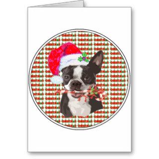 Boston Terrier Christmas Greeting Card