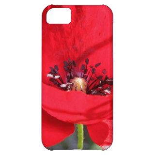 Single Red Poppy Flower Cover For iPhone 5C