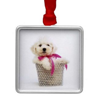 Bichon Frise Puppy Christmas Tree Ornament